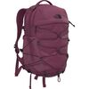 The North Face Borealis 27L Backpack - Women's